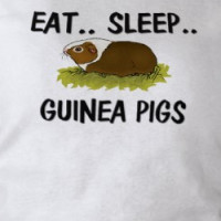 Eat Sleep GUINEA PIGS T-shirt