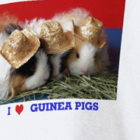 Kids I Love Guinea Pigs T Shirt T-shirt