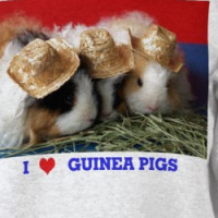 Kids I LOVE GUINEA PIGS White Sweatshirt T-shirt